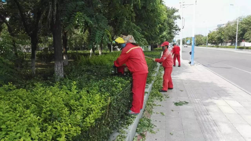 物业管理新趋势:丹江口物业公司的角色与发展
